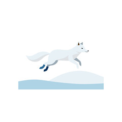 arctic fox in mid leap on snow covered field