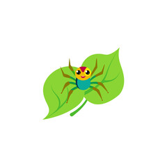 Fototapeta premium peacock spider dancing on green leaf