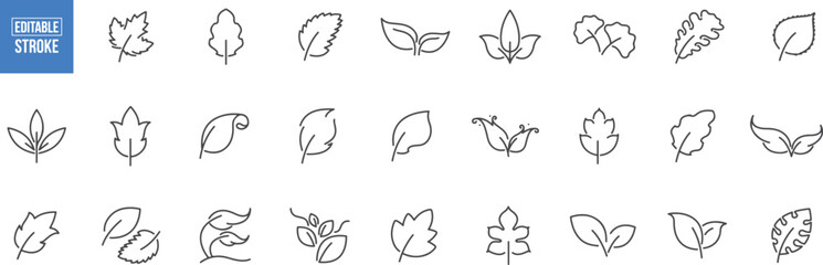 Leaf and Eco Nature Icon Set – Leaves, Botanical, Plant, Organic, Eco-friendly, Forest, Green Energy, Nature Symbol, Environment, Sustainability, Greenery, Gardening, Recycle, Earth, Season, Flora, Tr