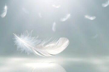 Delicate White Feather Floating Gracefully in Soft Dreamy Atmosphere with Gentle Light Effects