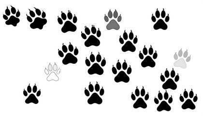 Fototapeta premium Black and Gray Paw Prints on White Background, Various Styles and Shades.