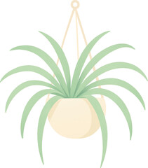 Light green houseplant with long leaves in a cream pot suspended by a cream macrame hanger