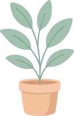 A green houseplant with multiple leaves sits in a terracotta pot