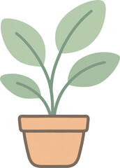 Green plant with multiple leaves in a terracotta pot on a neutral background