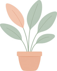 A potted plant with broad flat leaves in pastel tones against a transparent background