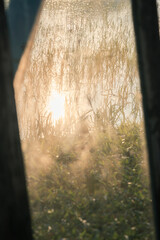 Dreamy rice field background reflected through glass at sunset