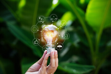 light bulbs green on background