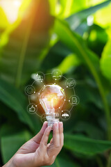 light bulbs green on background