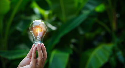 light bulbs green on background