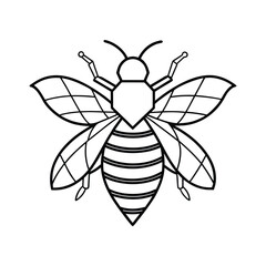 Bee line art drawing, bumblebee line art, honey, bee line art
