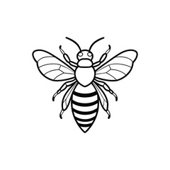 Bee line art drawing, bumblebee line art, honey, bee line art