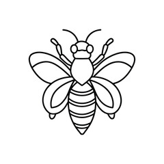 Bee line art drawing, bumblebee line art, honey, bee line art