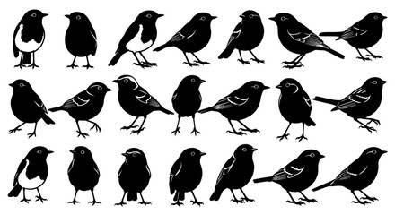 A collection of various bird silhouettes in different poses on a white background display