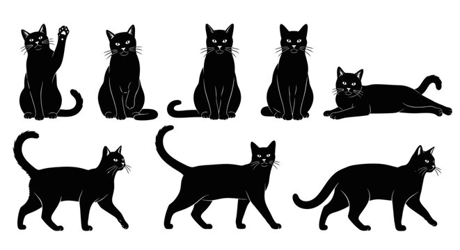 A collection of black cat illustrations in various poses on a white background isolated image