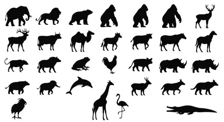 Fototapeta premium Silhouette collection of various animals including mammals birds and reptiles on white background