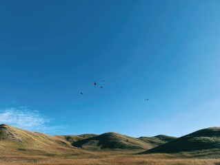 Rolling hills under a clear blue sky, with a flock of birds in flight
