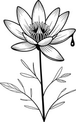 Intricate black and white flower illustration, botanical art, detailed floral design, nature-inspired drawing, elegant flower sketch, artistic plant depiction