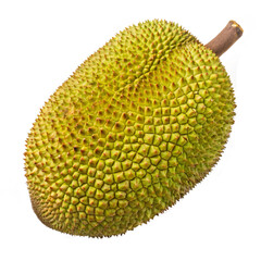 Fresh Ripe Jackfruit Isolated on Transparent Background – PNG