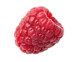 Single Ripe Raspberry Isolated on Transparent Background – PNG