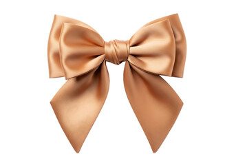  Elegant Satin Ribbon Bow Isolated on Transparent Background