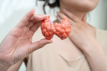 Hyperthyroidism, Overactive Thyroid, Thyroid Lymphoma, Asian woman with thyroid gland human anatomy model.