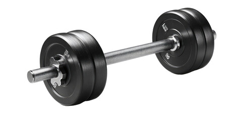 A black dumbbell with a chrome bar