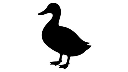 Black duck silhouette isolated on white background