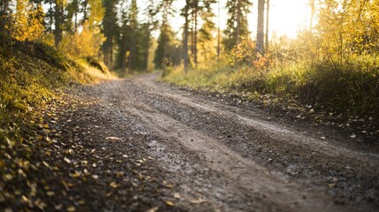 Naklejka premium A winding dirt path through an autumn forest, lined with golden leaves under soft sunlight.