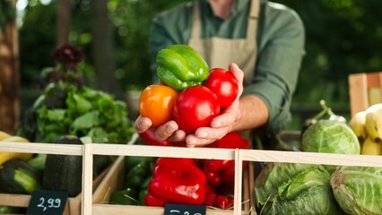 Caucasian male farmer showing and holding organic vegetables. Proposing to buying fresh natural products. At market. Hardworking man growing harvest on farmland. Concept of agriculture.