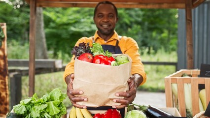 Zooming in on hardworking African American salesman proposing to sell his organic vegetables or...