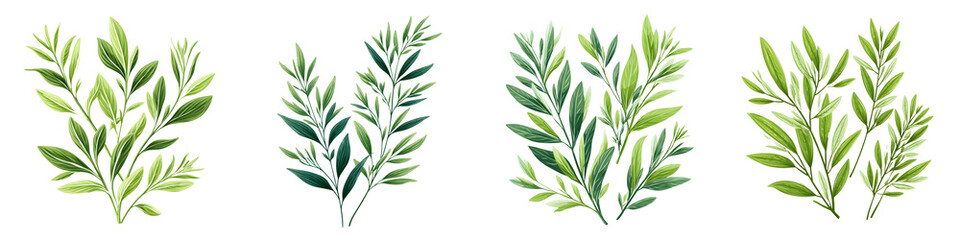 Fototapeta premium Watercolor Green Branches Collection Isolated