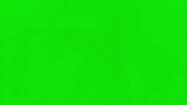 Majestic silverback gorilla roars aggressively, showcasing powerful presence and raw nature