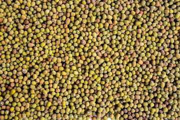 flat lay of mung bean texture background