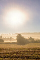 Sun shining over the fields and a grove of trees in a rural landscape with morning fog