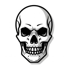 Fototapeta premium human skull vector