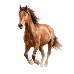 Obraz premium A galloping brown horse against a black background