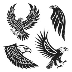 Majestic Eagle Winged Designs Collection.