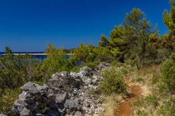 Mediterranean vegetation, road leading to Tatinje beach in Croatia, Ciovo island,