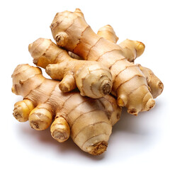 A bunch of fresh ginger root, a popular spice and culinary ingredient, isolated on a white background