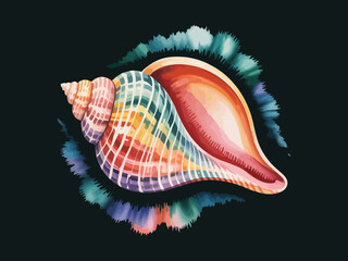 Watercolor conch shell illustration