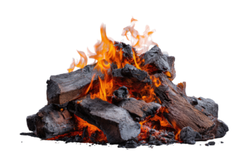 A vibrant campfire blaze