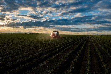 Tractor spraying crops in a lush green field at sunset.