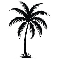 palm tree silhouette