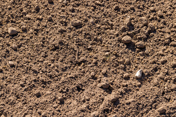 plowed soil dried under the warm spring sun in a field, a plowed agricultural field prepared for...