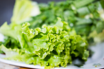 Closeup of fresh and raw leaves lettuce