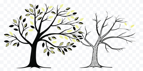 Artistic depiction of two trees representing life cycles and seasonal changes with stylized leaves and branches on transparent background