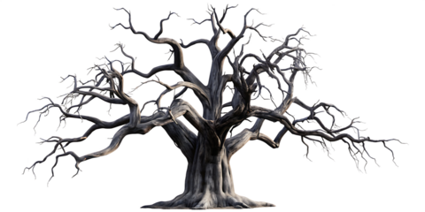 Gnarled dead tree skeletal branches isolated on a transparent background