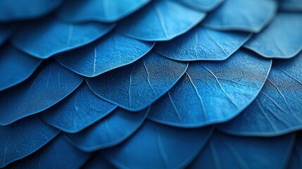 Obraz premium Blue butterfly close up with detailed textures, showing its stunning natural patterns.