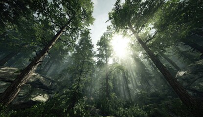 Lush forest canopy, sunlight filtering through