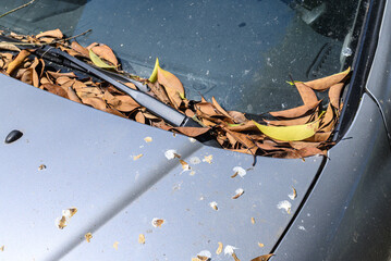 An Abandoned Car Covered in Autumn Leaves. Concept The signs of neglect and the changing seasons.